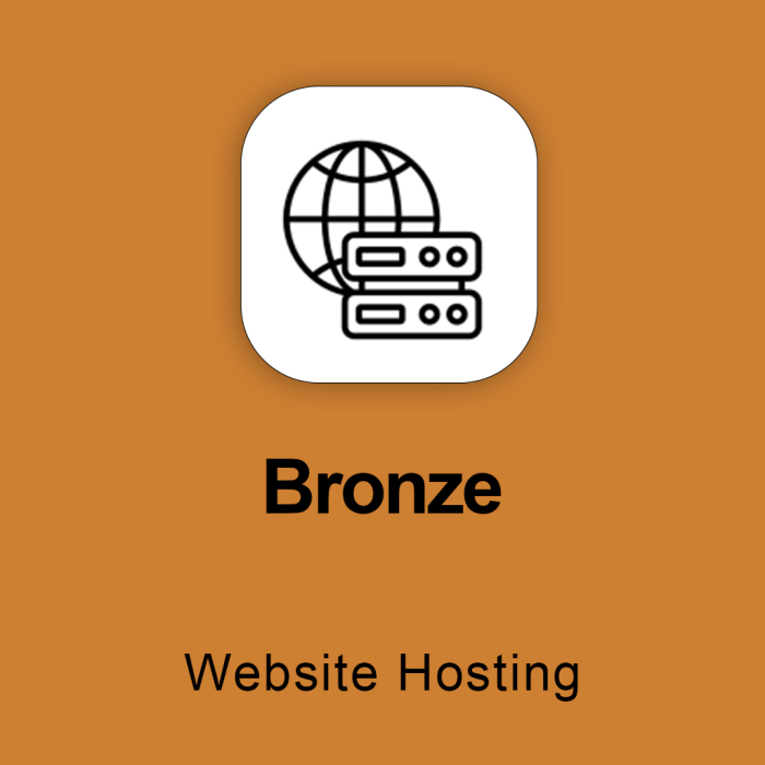 Bronze Web Hosting - Image 1