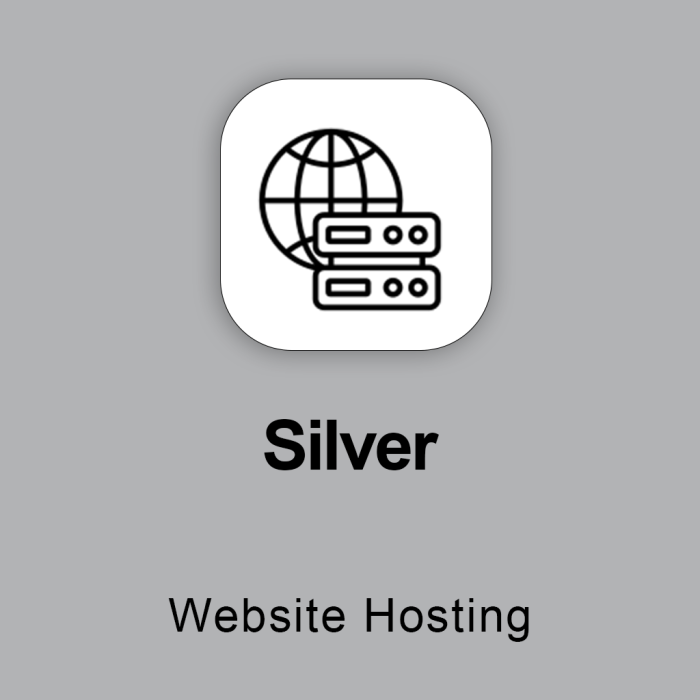 Silver Web Hosting - Image 1